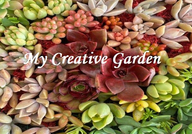 My Creative Garden at Kingsbury Drive Market