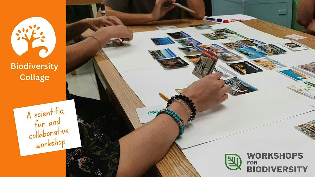 Biodiversity Collage Workshop - McGill University, Montreal