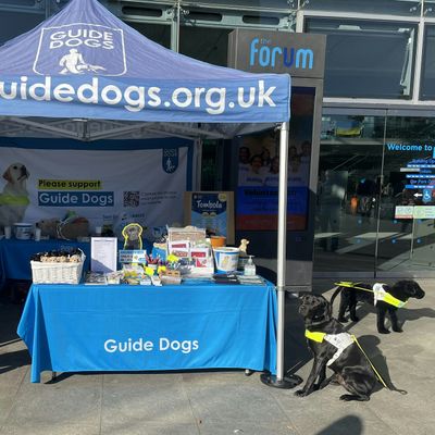 Norwich & District Guide Dog Fundraising Group