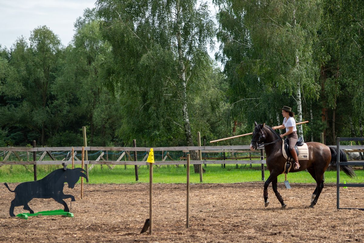 Maj\u00f3wka z Working Equitation 