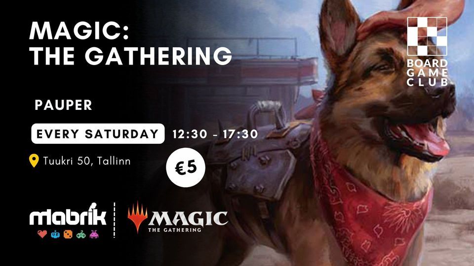 Magic: the Gathering - Pauper