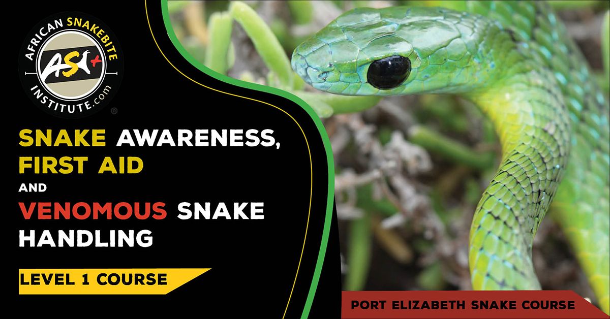 Snake Awareness First aid for Snakebite, Venomous Snake Handling