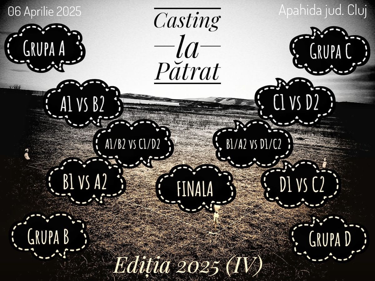 Casting la p\u0103trat edi\u021bia IV