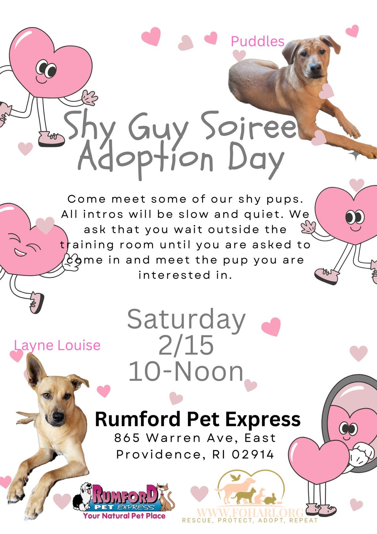 Shy Guy Soiree Adoption Day!