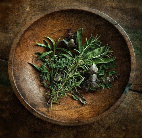  Herbalism for Beginners