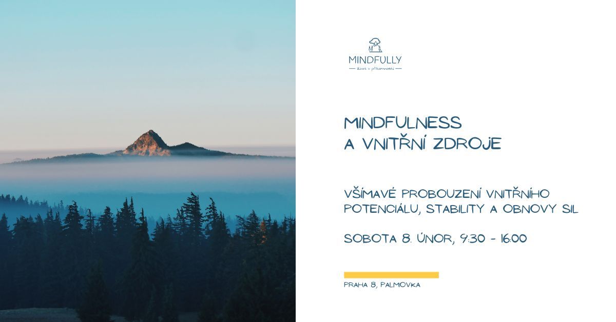 Mindfulness a vnit\u0159n\u00ed zdroje