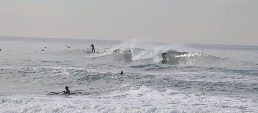 Free SUP Surf Class