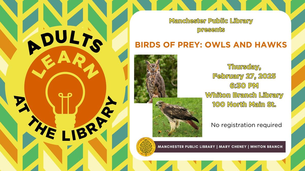 Birds of Prey: Owls and Hawks