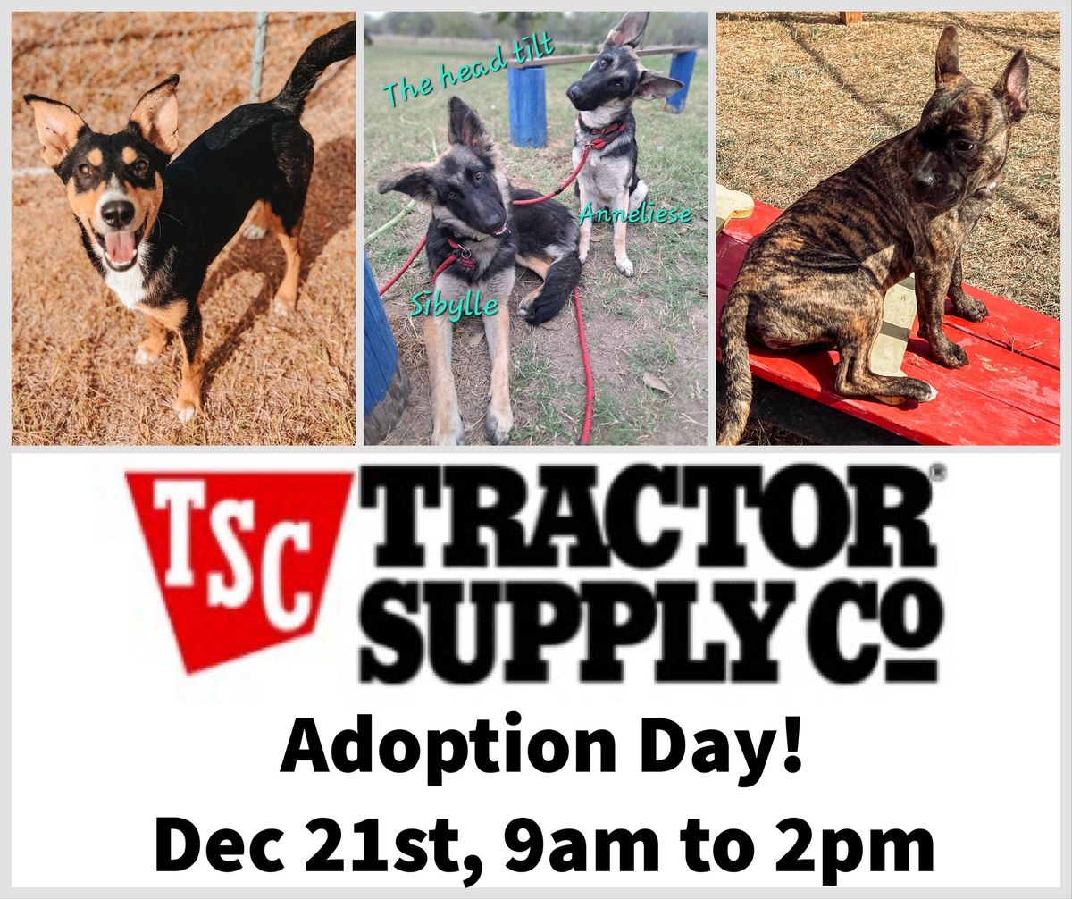 Tractor Supply Adoption Day!