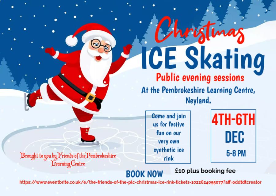 The Friends of the PLC Christmas Ice Rink