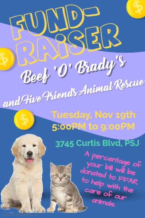 Beef O'Brady, PSJ, Fundraiser for Five Friends Animal Rescue