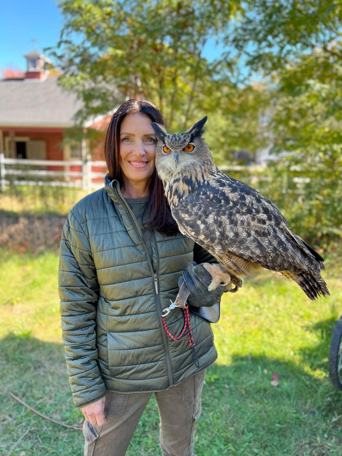 Wildlife Wednesday : On the Wing- Raptors! 