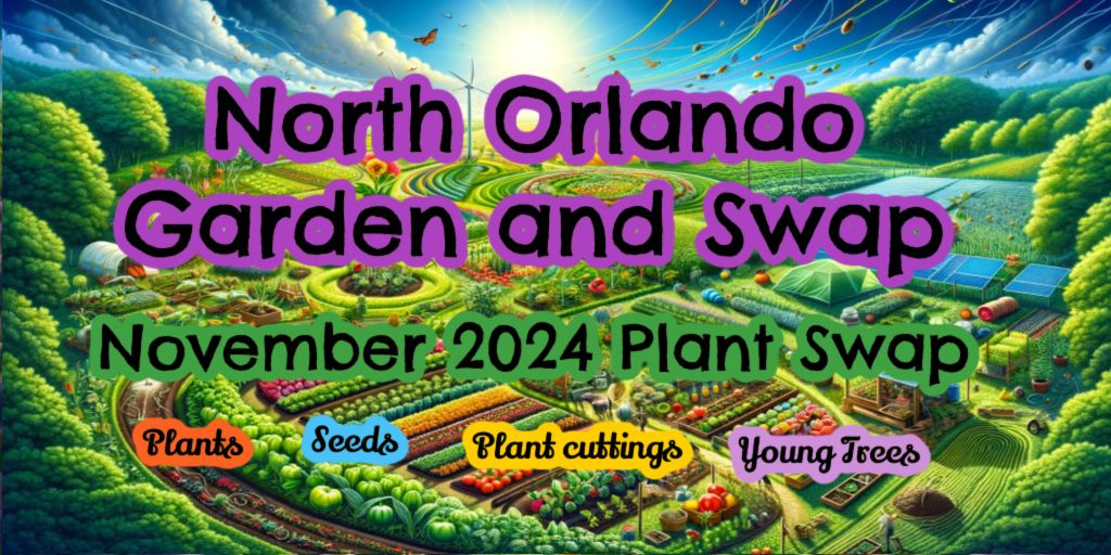 November 2024 Plant Swap