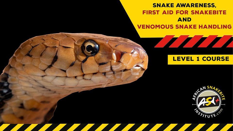 Snake Awareness First aid for Snakebite, Venomous Snake Handling