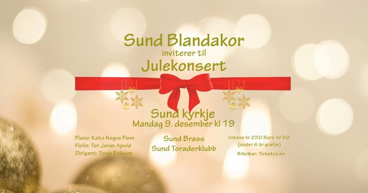 Julekonsert