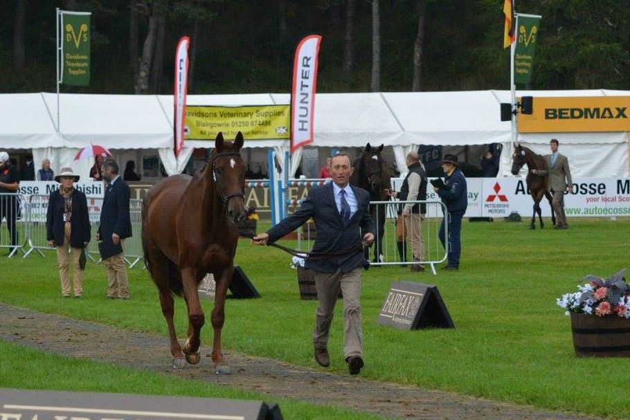 Flatwork, polework and jumping clinic with David Gatherer