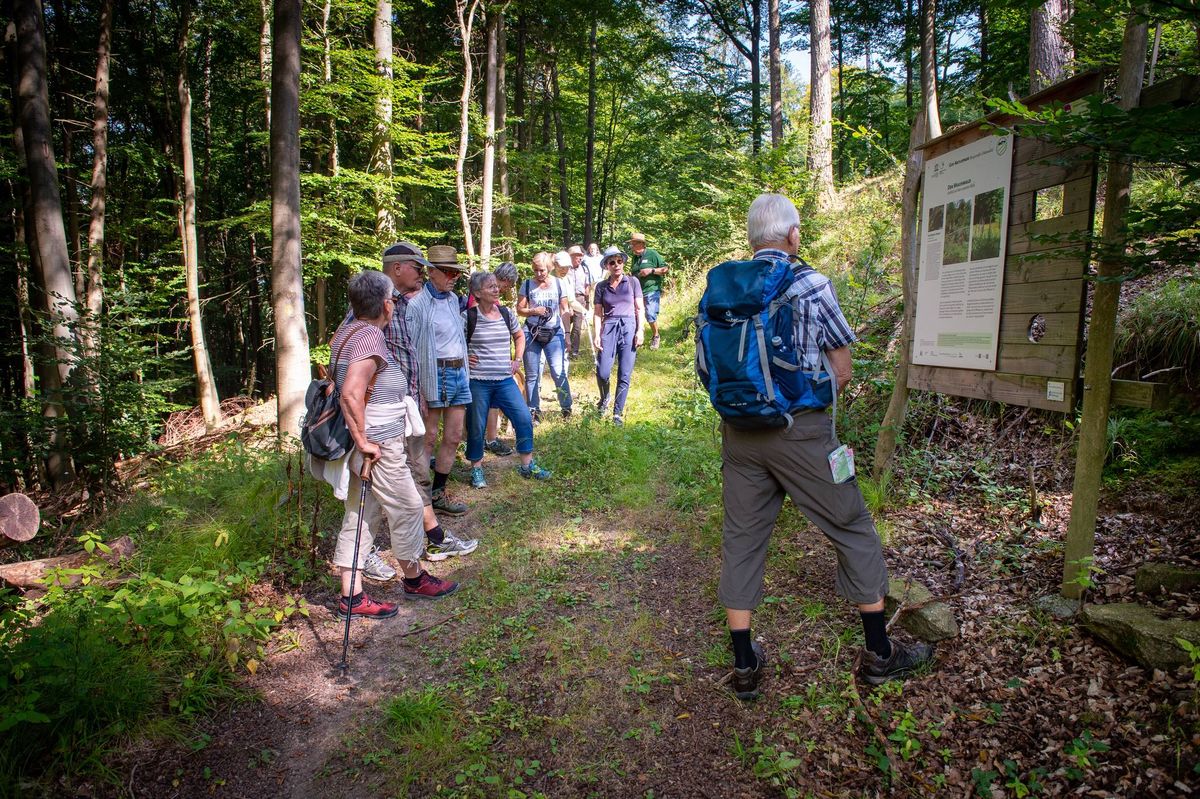 Gef\u00fchrte Wanderung zur Heuneburg