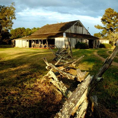 Shakespeare at Winedale