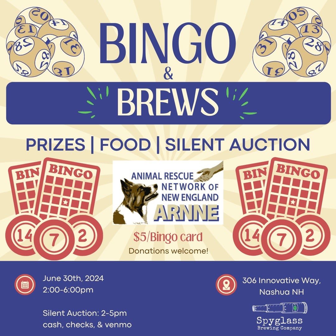 Bingo and Brews Fundraiser 
