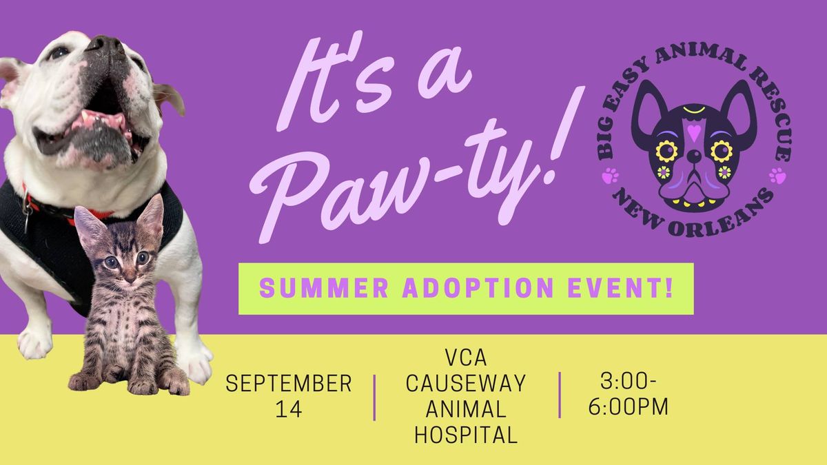 B.E.A.R. Adoption Event at VCA Causeway Animal Hospital 