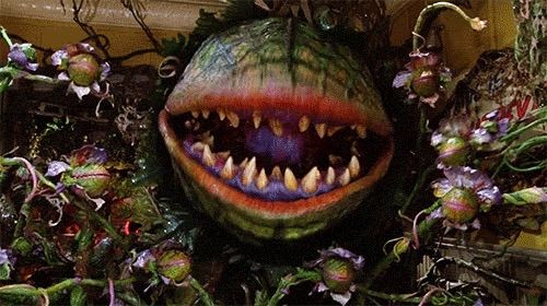 Little Shop of Horrors