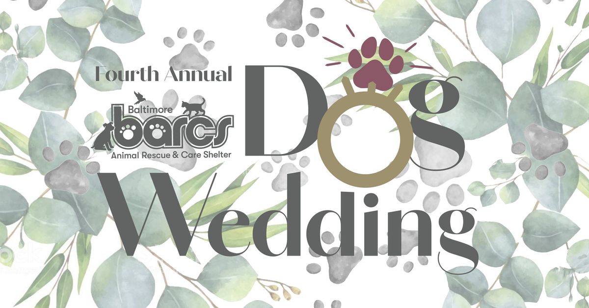 BARCS Dog Wedding