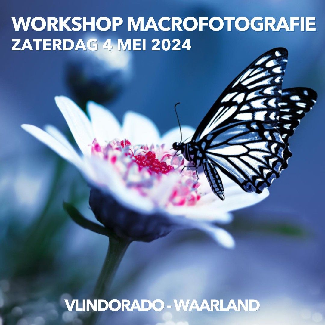 Workshop Macro- en Vlinderfotografie