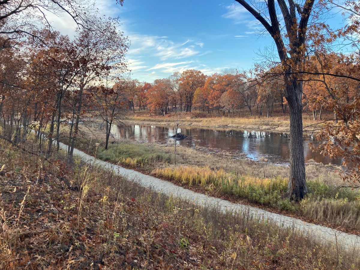 Miller Woods Hike