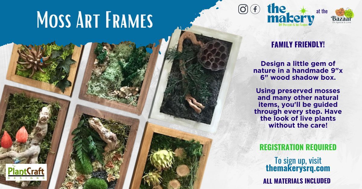 Moss Art Frames with Plant Craft Designs