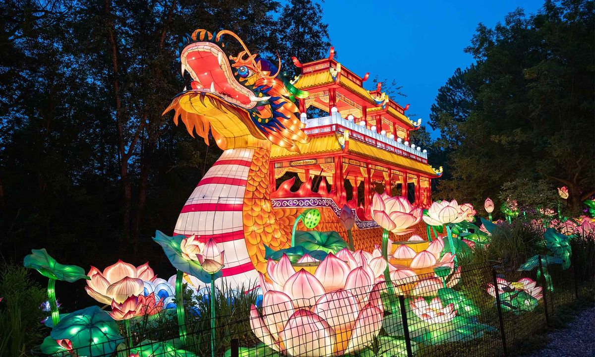 Asian Lantern Festival - Walk Through