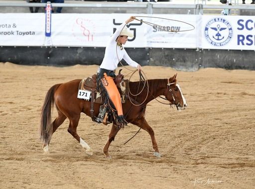 Ranch Trail Clinic with Yvette Wealands