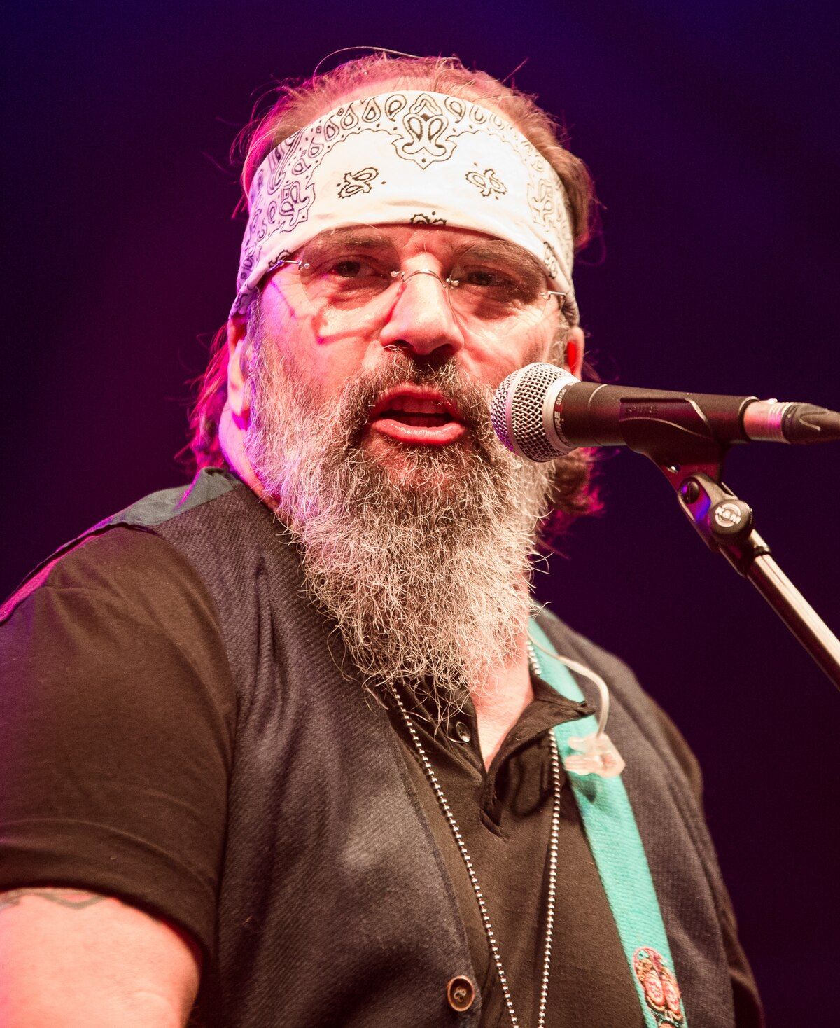 Steve Earle