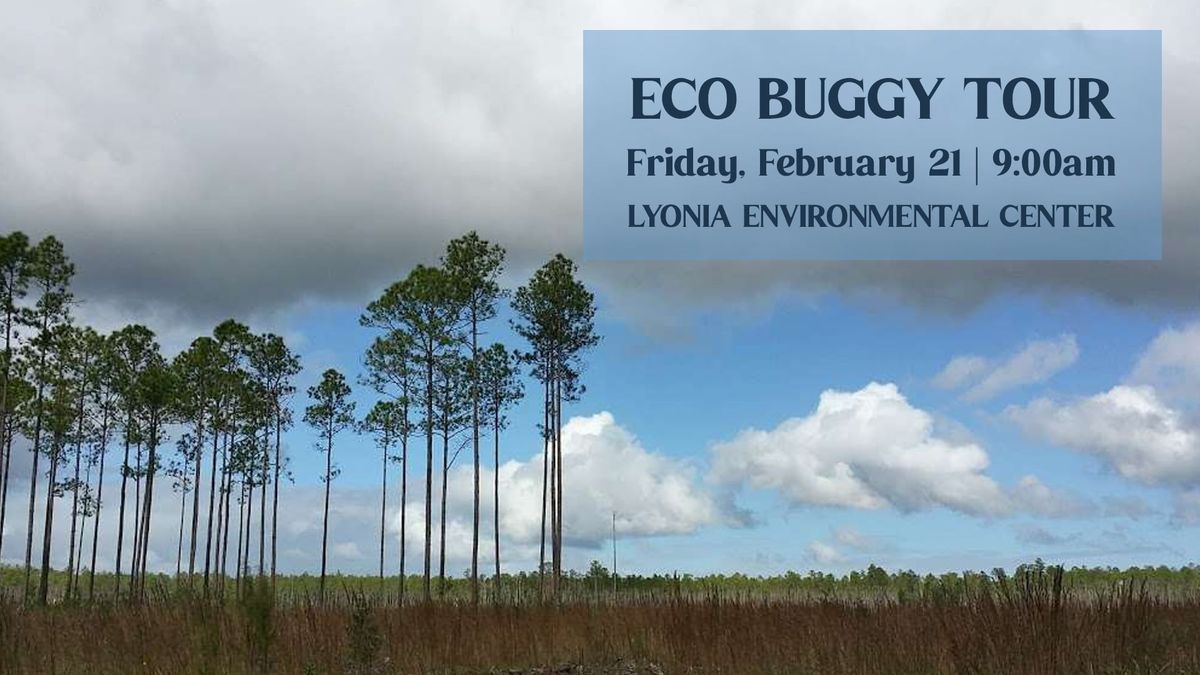 Eco Buggy Tour | Lyonia Environmental Center