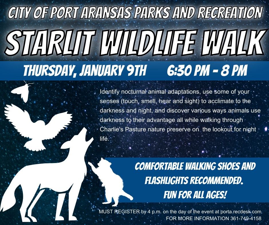 Starlit Wildlife Walk 