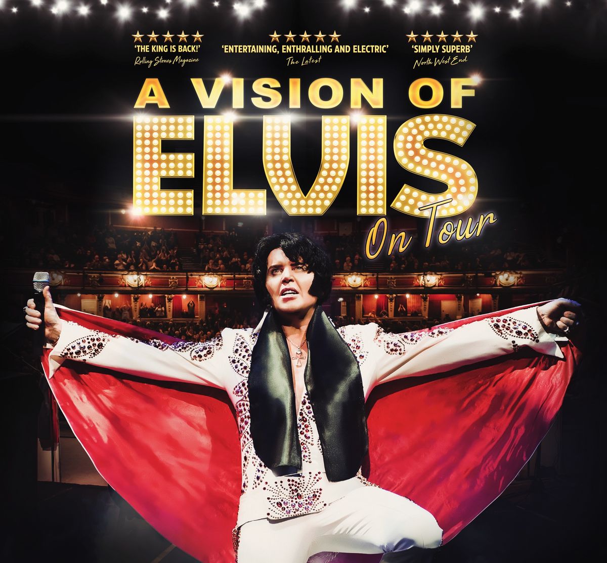 A Vision of Elvis The Lights Andover