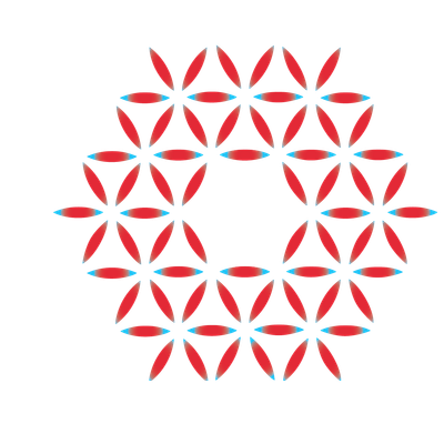 Seerave Foundation