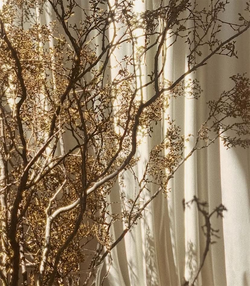 RITUALS ~ A Tea Lounge Pop Up