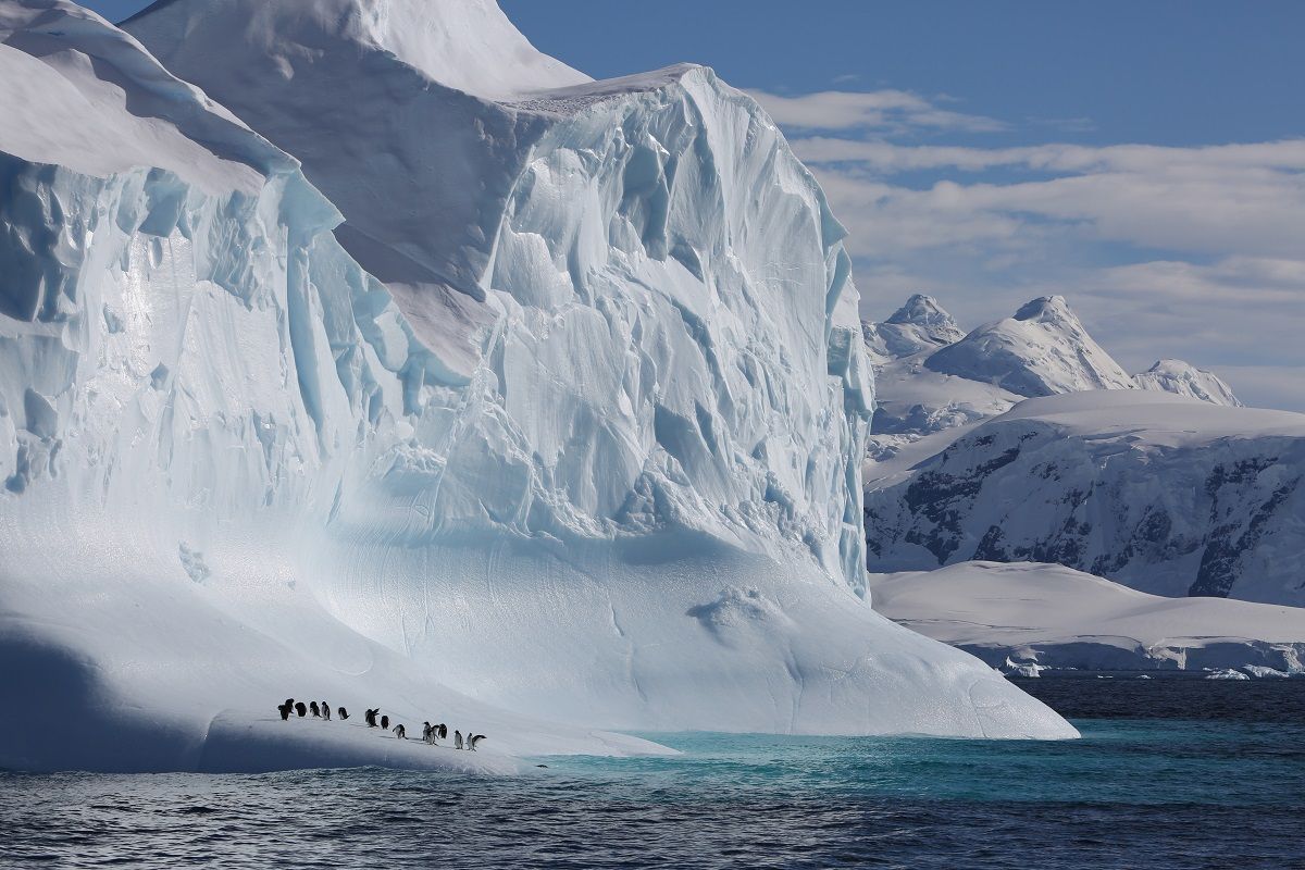 The Making of Our Planet: Frozen Worlds with Sophie Lanfear at Lone Tree Arts Center