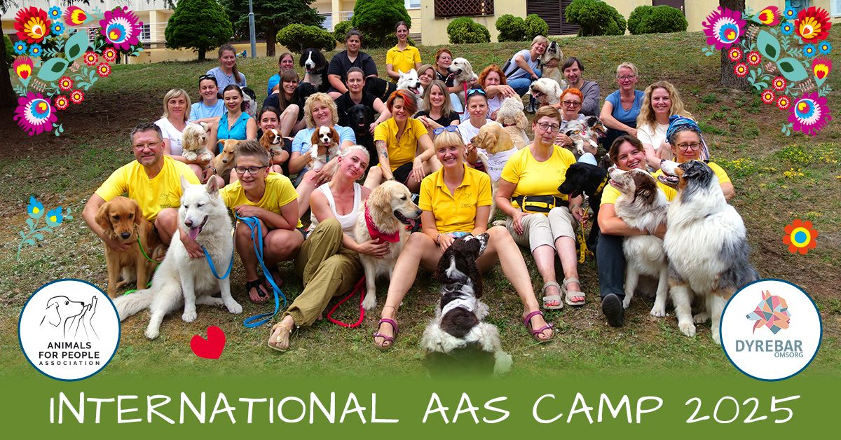 International AAS camp 2025