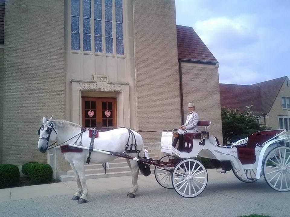 Horse and Carriage Rides