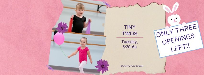 Tiny Twos - 6-week Summer Class