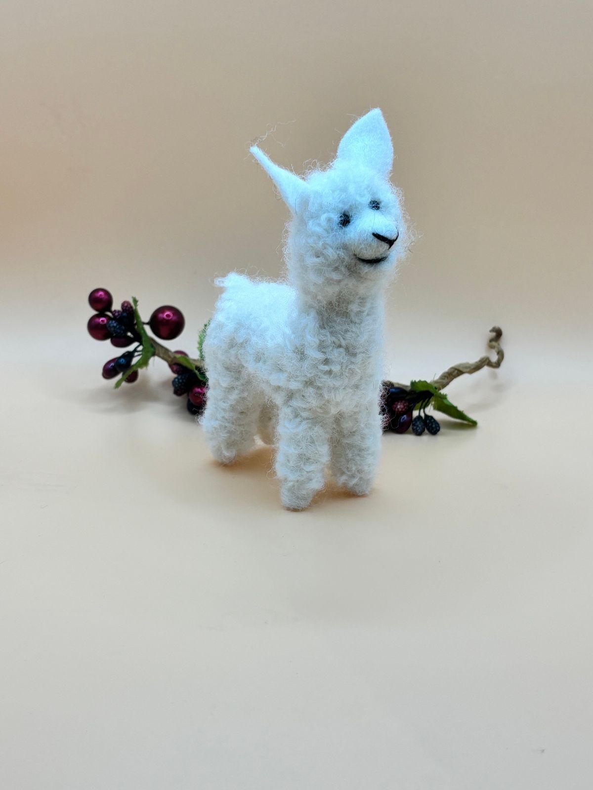 Alpaca Needle Felting 1 day workshop with Alyson Merrall