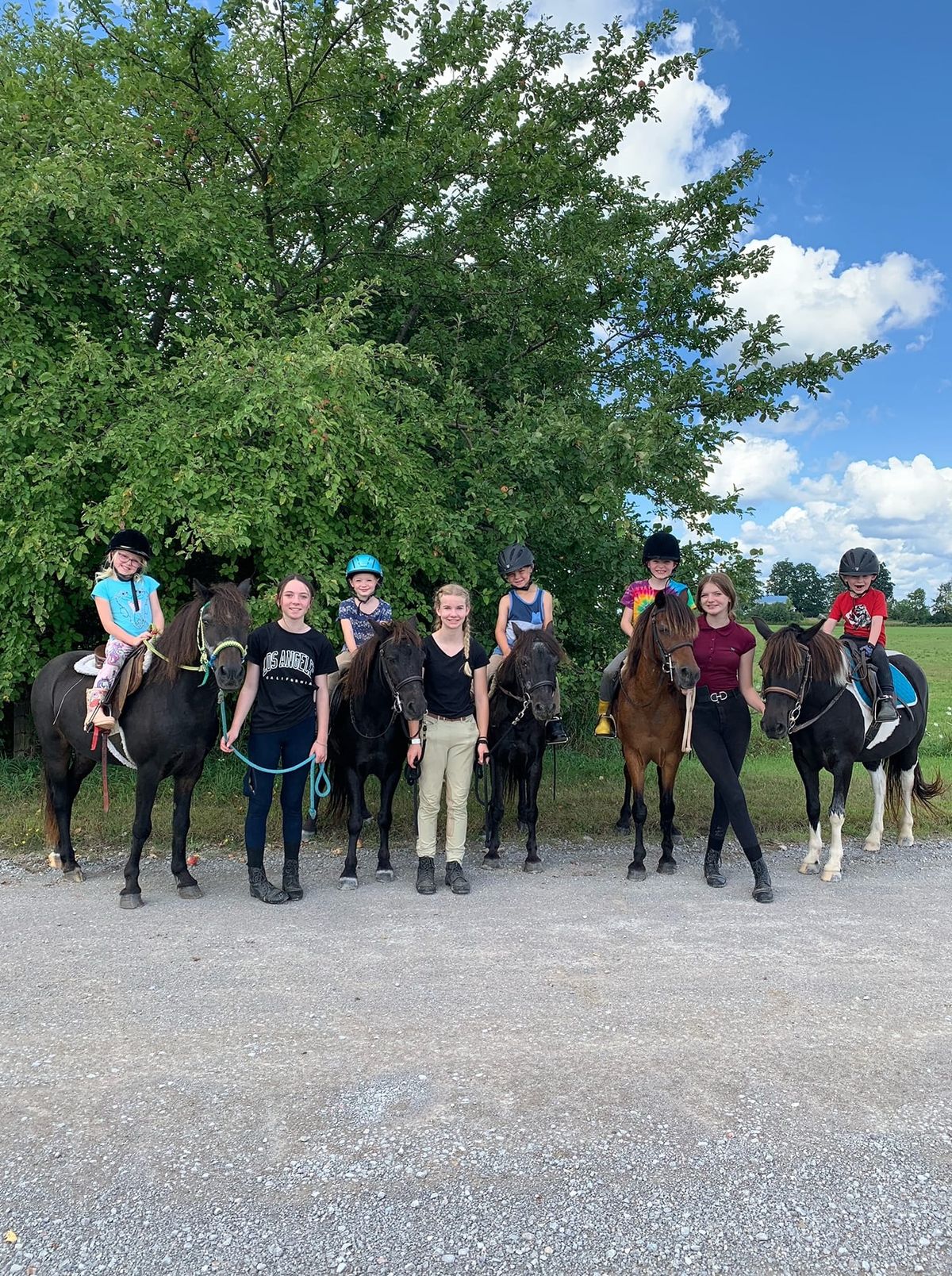 Pony Adventures Summer Camp!