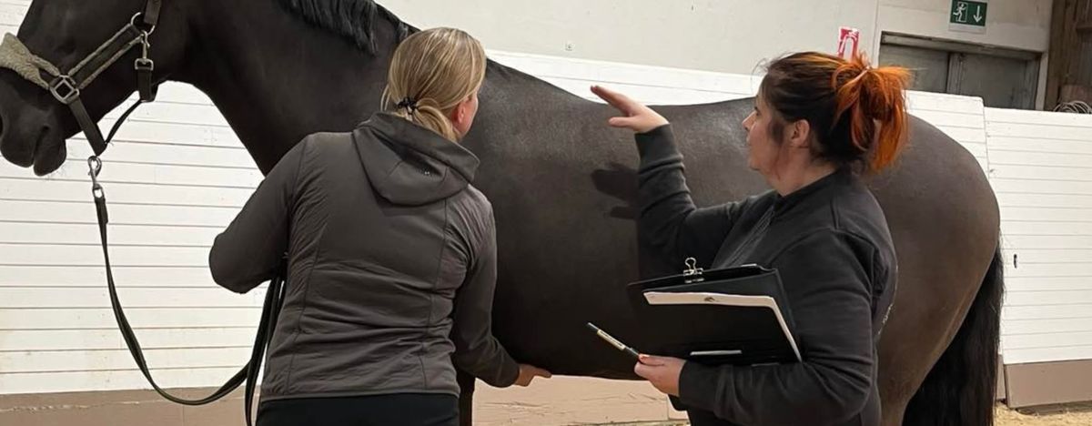 Workshop - Behandling til Husbehov