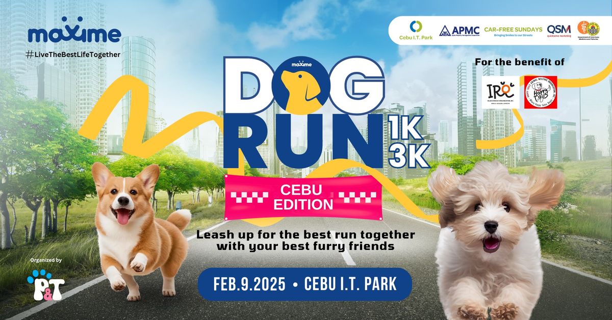 MAXIME Dog Run - Cebu Edition