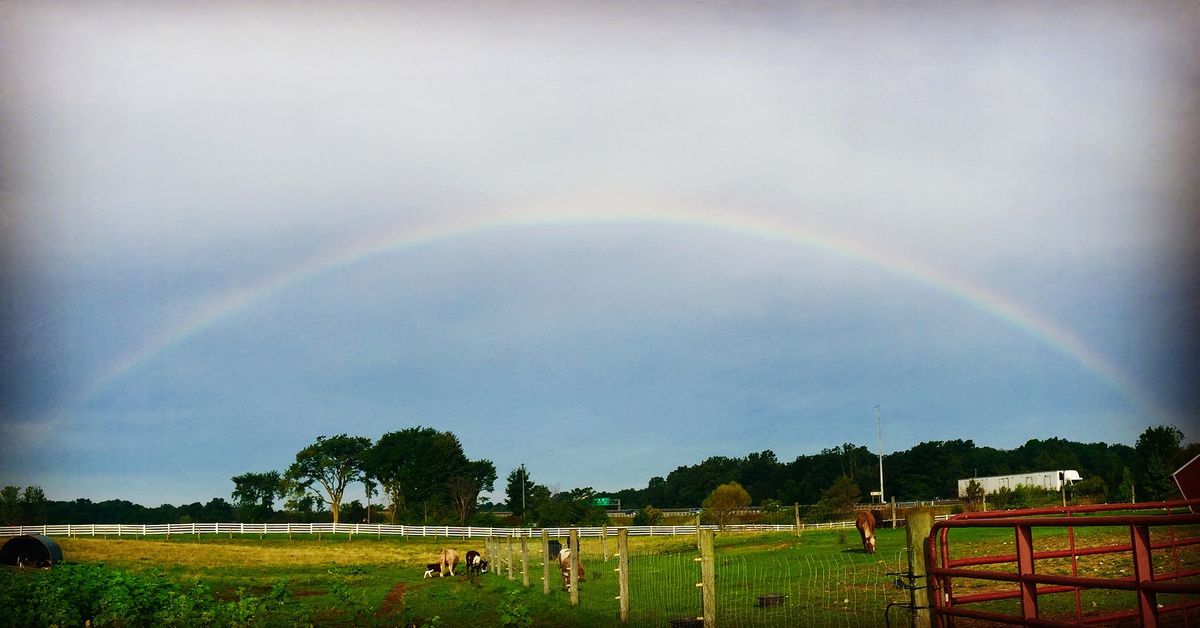 Fall Fest at The Petting Farm