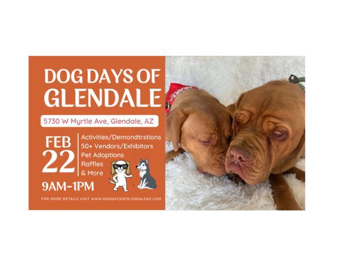 Dog Days of Glendale