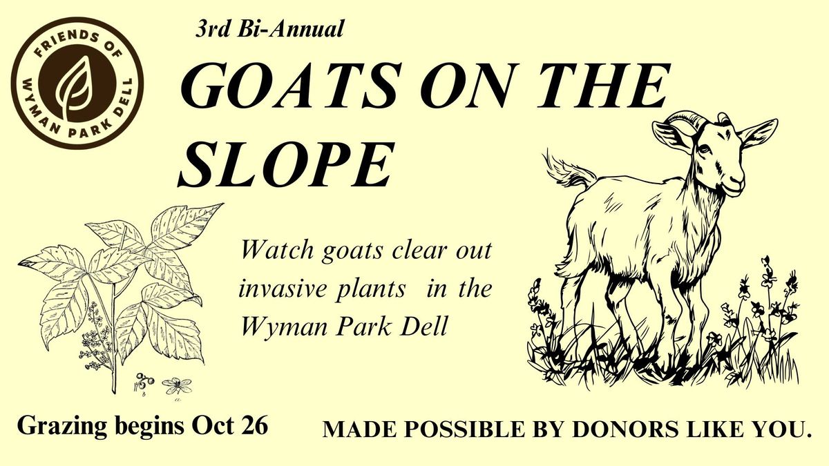 Goats on the Slope 2024