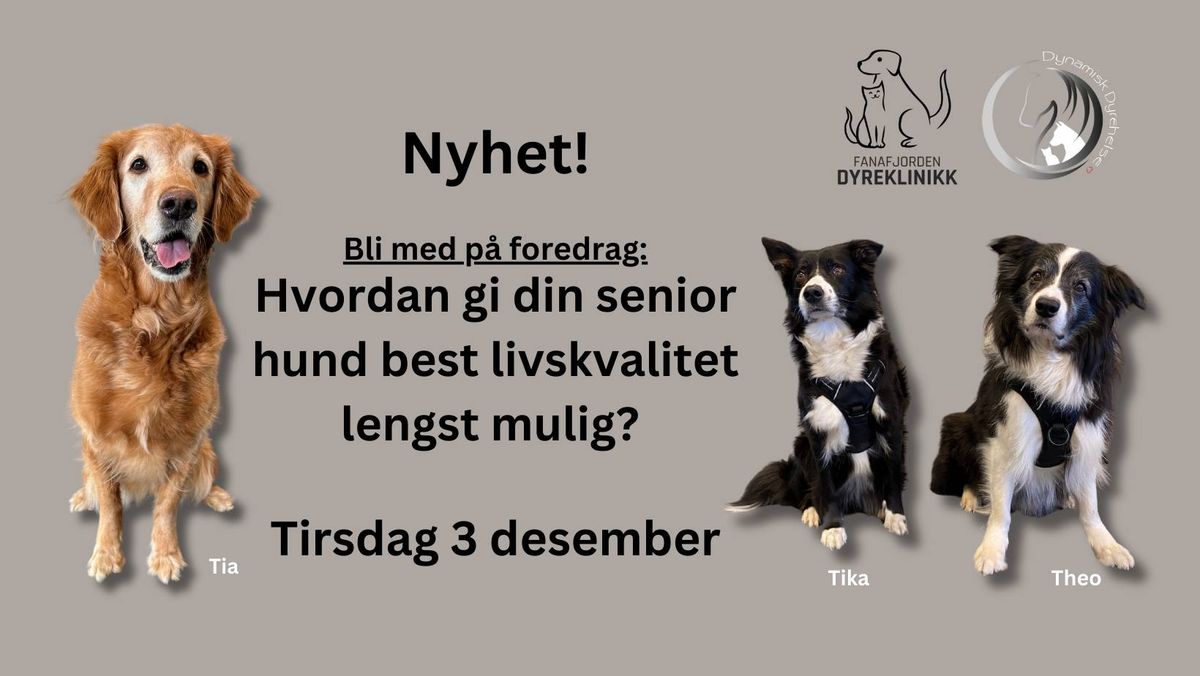 Foredrag: Hvordan gi din senior hund best livskvalitet lengst mulig!