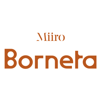 Hotel Borneta